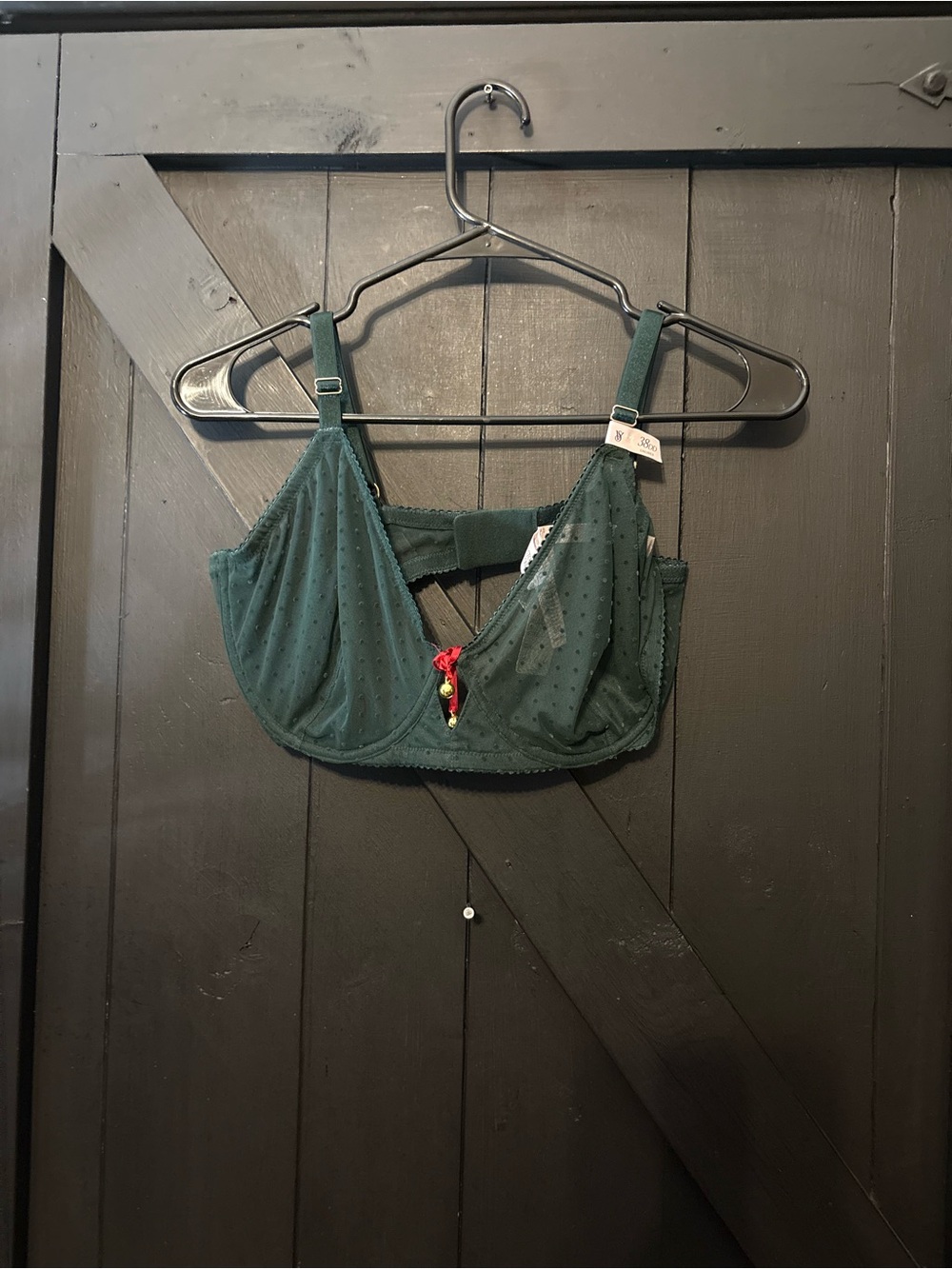 Victoria's Secret Dark Green Sheer Dotted Underwire Bra with Red Accent